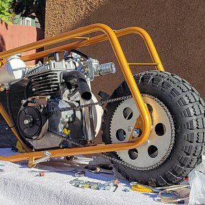 20231112_135130 gy.jpg