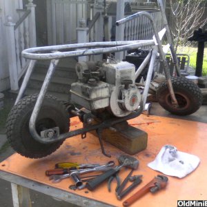 My taco 22