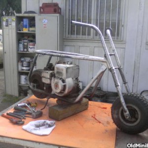 My taco 22