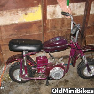 my old manco mini bike with a 5.5 honda motor