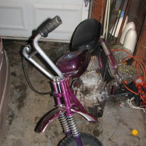 my mini bike now but planning to do a lot mor to it