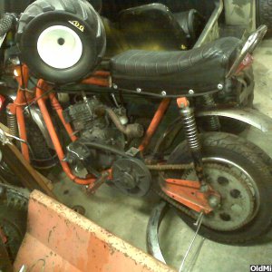 Picture_1181