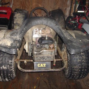 rear end view buggy