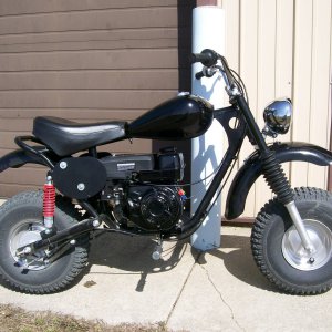 The "Black Puma"