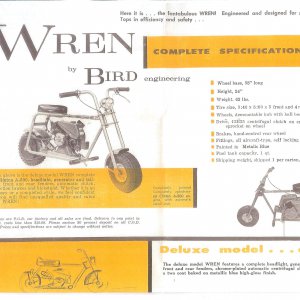 Wren_1