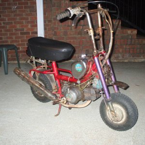 benelli buzzer motorcycle serial number lookup