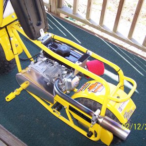 Dirt Bug Project