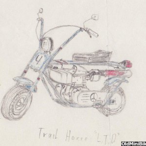 40 year old Trail Horse drawing from story