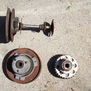 Horstman, Salsbury, unkown clutches