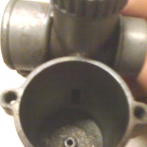 Photo07272046_1