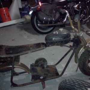 Speedway Shrike