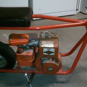 red taco mini bike?