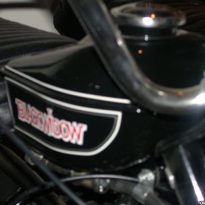 DSCN4686