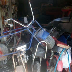 Some of my minibikes