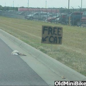 free-cat