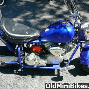 What kind of mini bike is this?