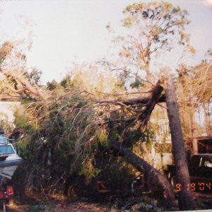 Dennis My House 2004