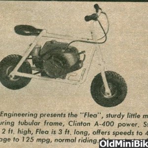 Bug Engineering Flea Ad 1960