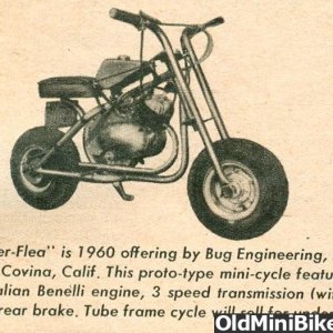 Bug Super Flea 1960