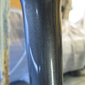 painted lower fork leg