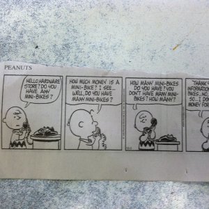Peanuts Comic Circa 66'
