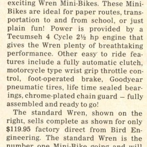 Bird Wren Write Up 1968