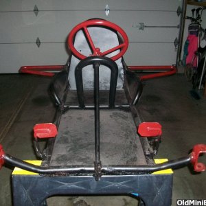 Bug Wasp Frame