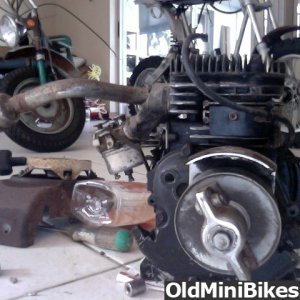 tecumseh mini bike engine