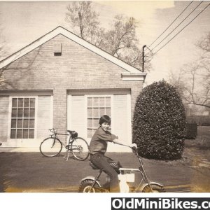 Virginia_Ramshorn_Minibike1